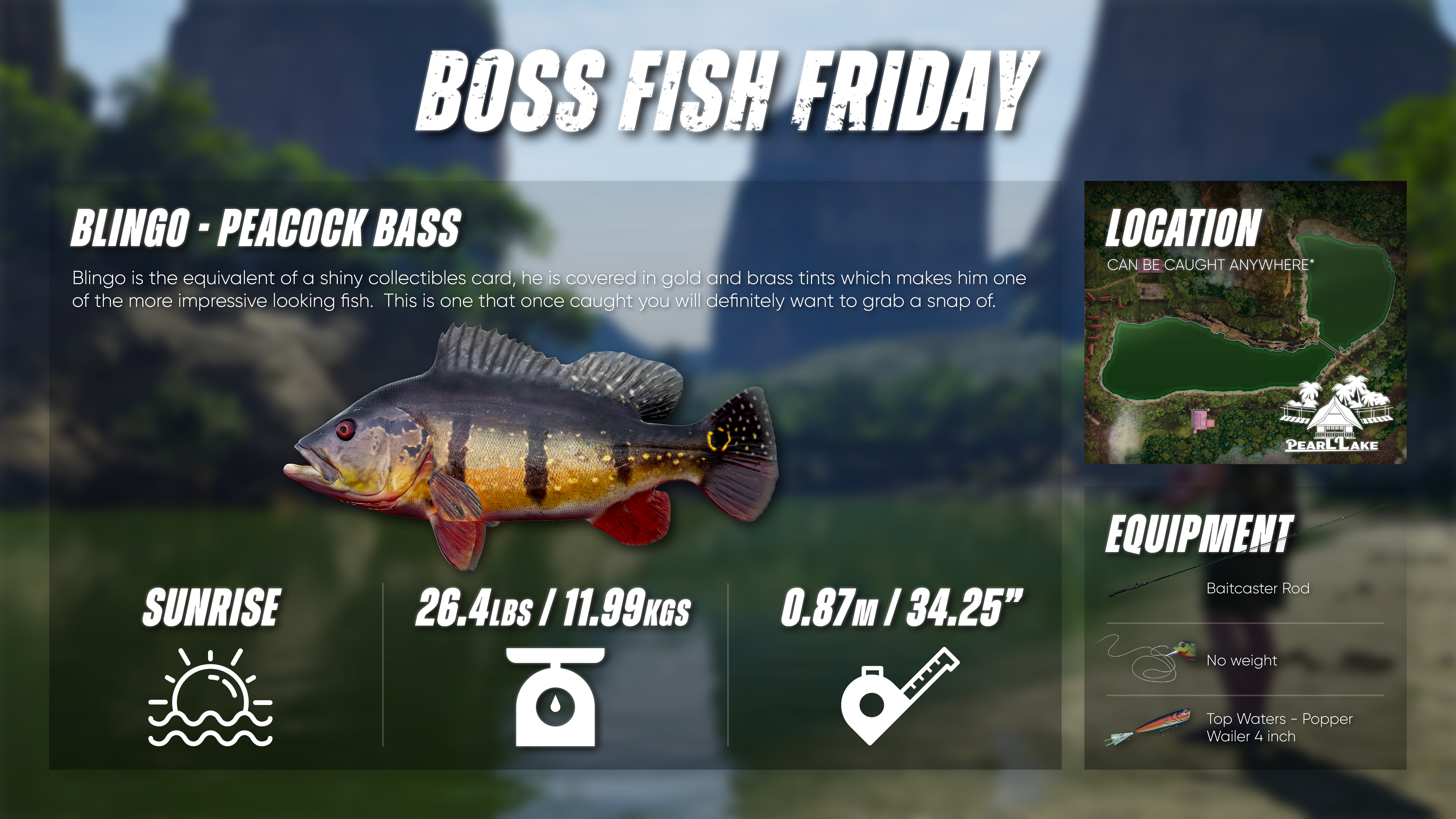 The Catch Carp & Coarse - Dovetail Games NEW Fishing Game!